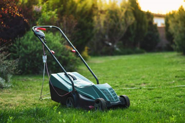 Tonte de pelouse professionnelle pour un gazon parfait