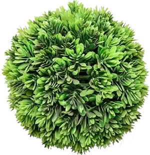 download 30 b327 4b1c 721f