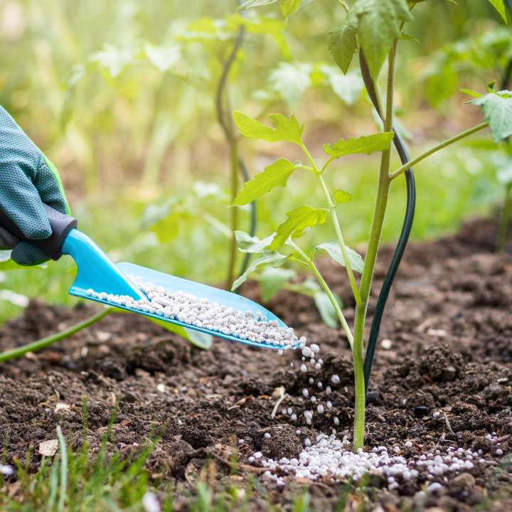 Service de tonte hebdomadaire à Québec