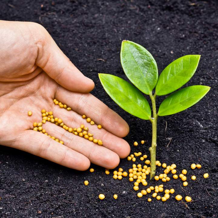 Fertilisation biologique gazon Québec