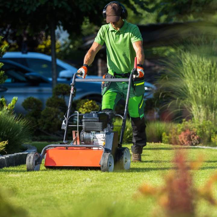 Tonte de pelouse Québec
